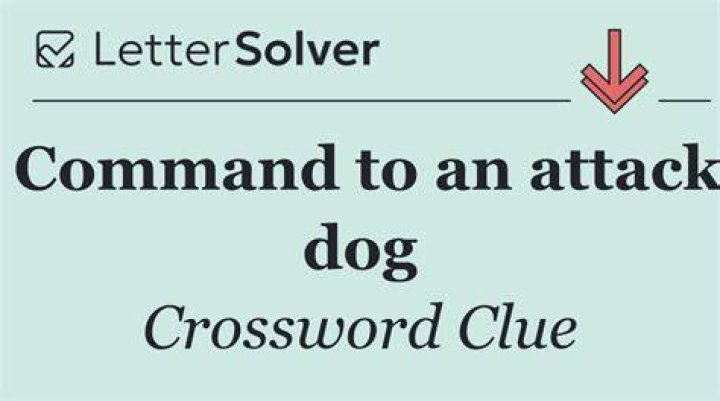___ 'em! (command to an attack dog)