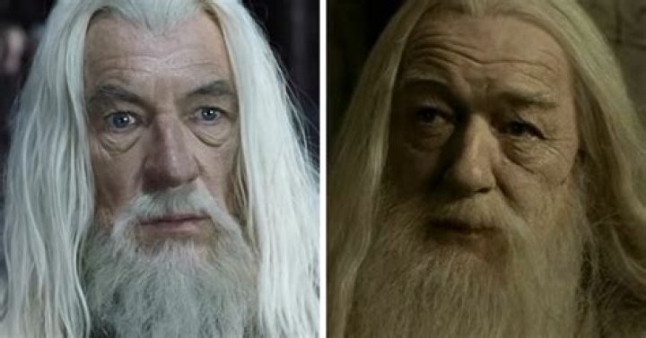 Actor Holm or McKellen