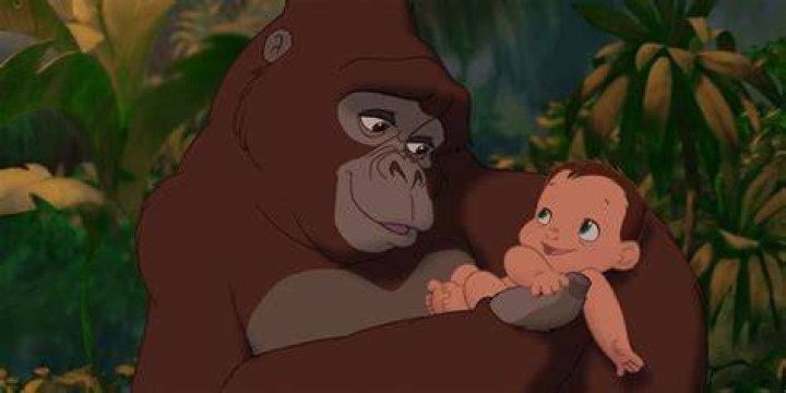 Animals that raised Tarzan