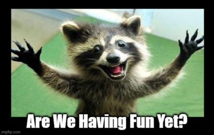 Are we having fun ___?