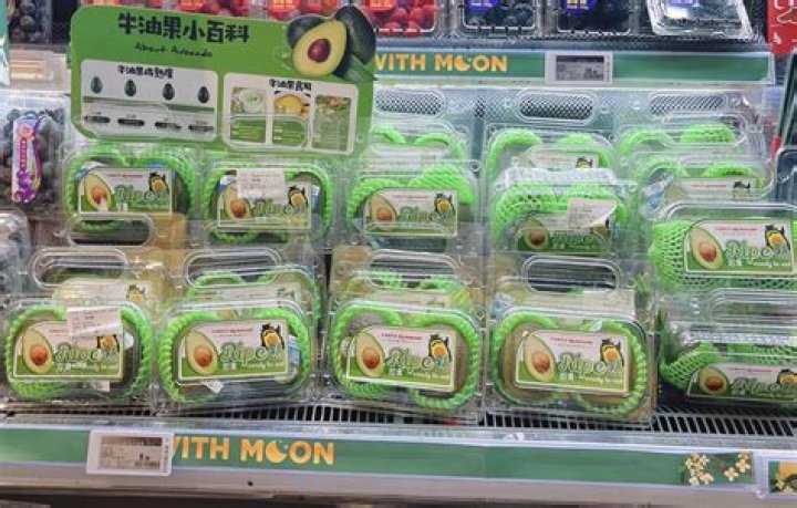 Avocado centers