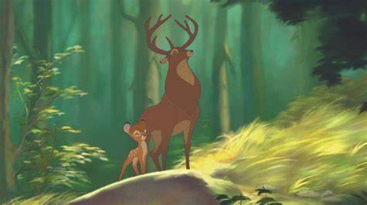 Bambi for one