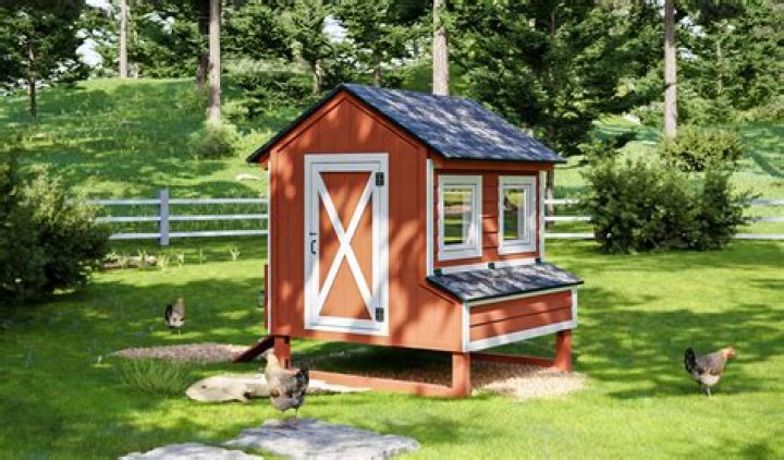 Barnyard home for chickens
