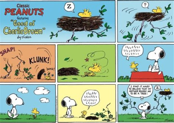 Be snoopy