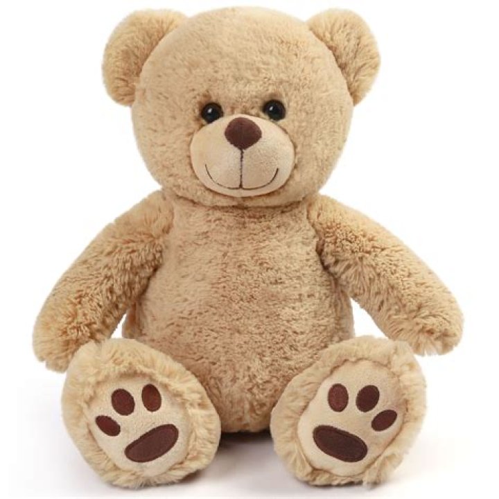 ___ bear (stuffed toy)