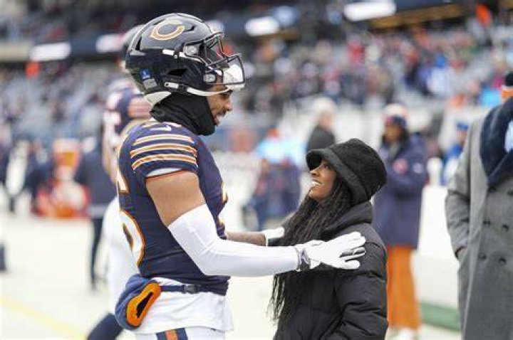 Bears' lairs