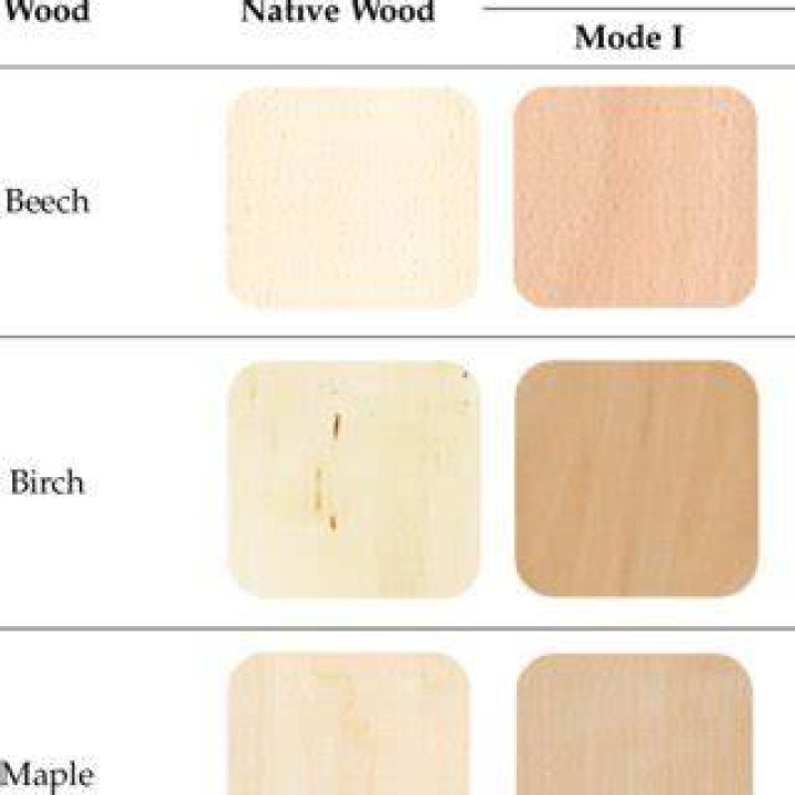 Beech or birch for example