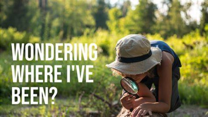 ___ been wondering ...