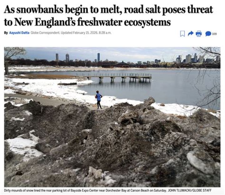Begin to melt