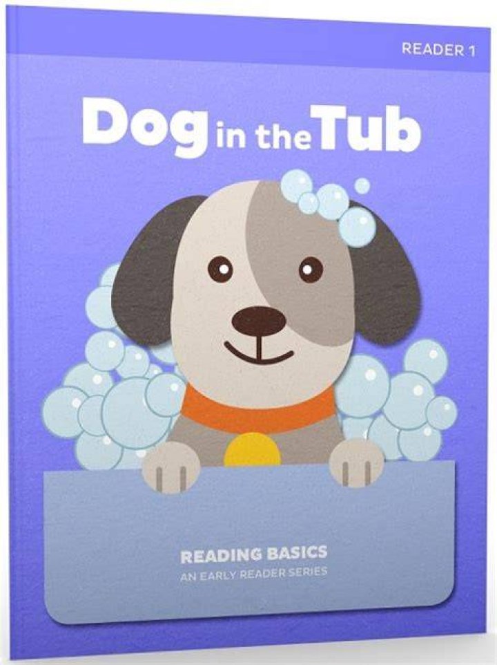 Beginning reader's basics
