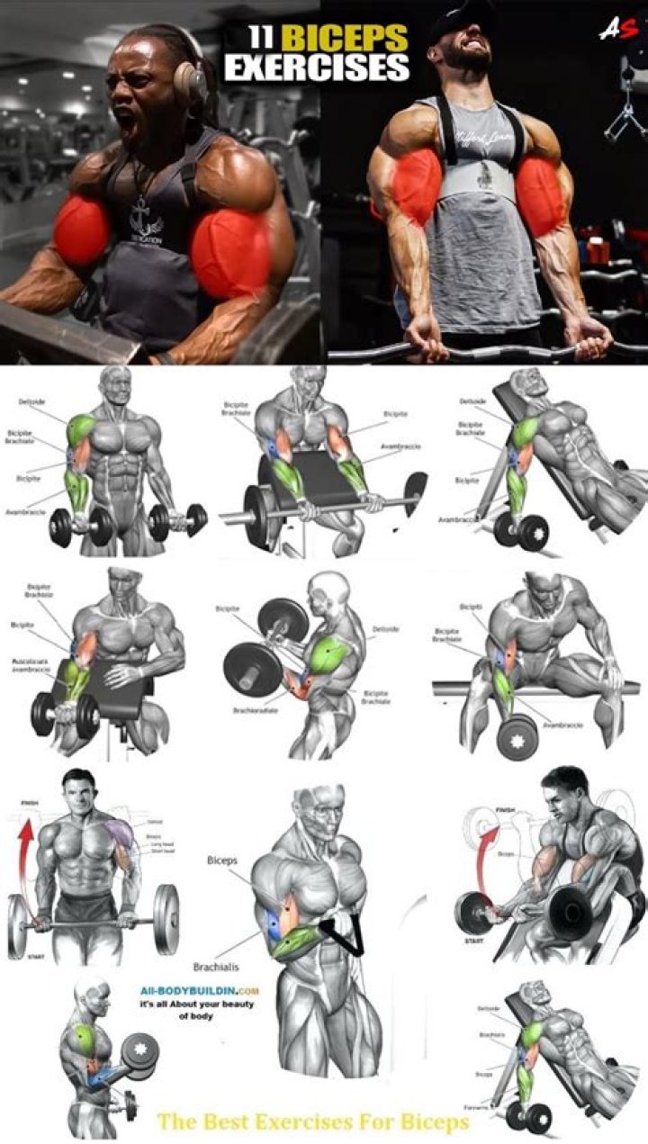 Biceps exercise