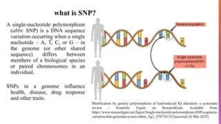 Biological identifier: Abbr.