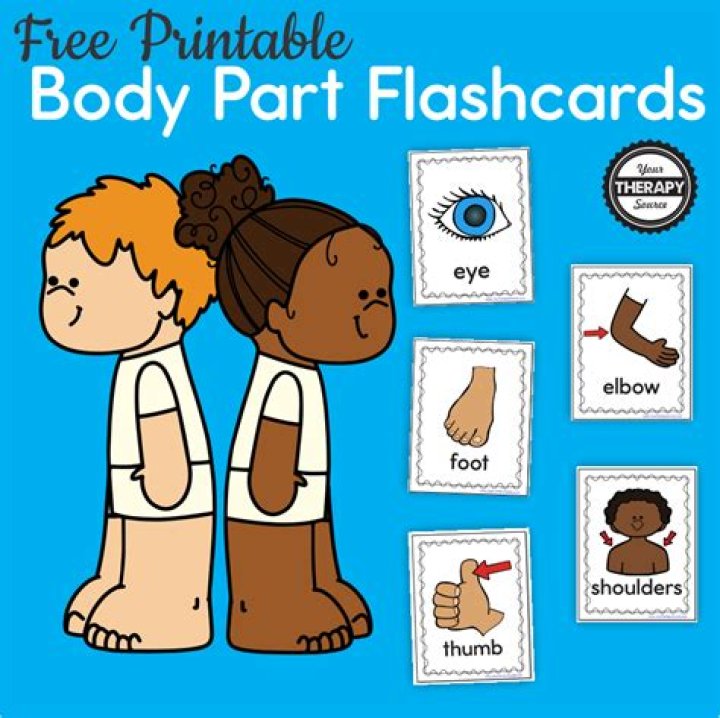 Body part used for clapping