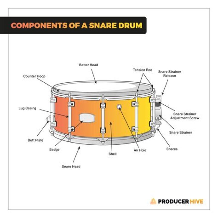 Bongo and snare for example