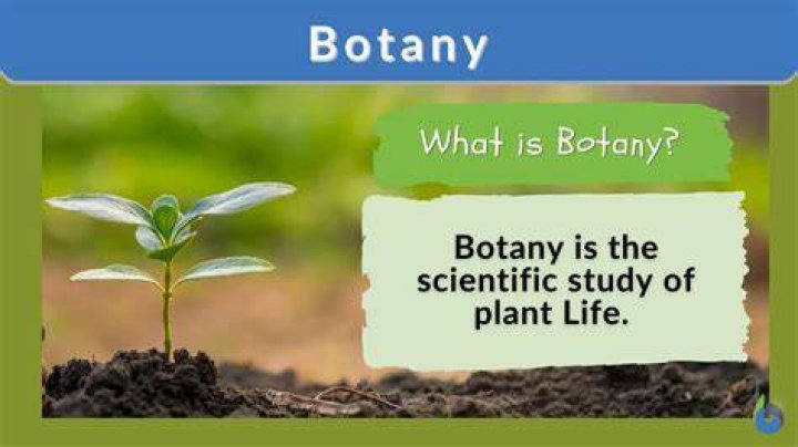 Botany or geology for example: Abbr.