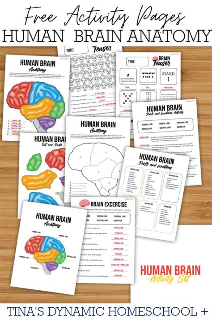 Brain activity readout: Abbr.