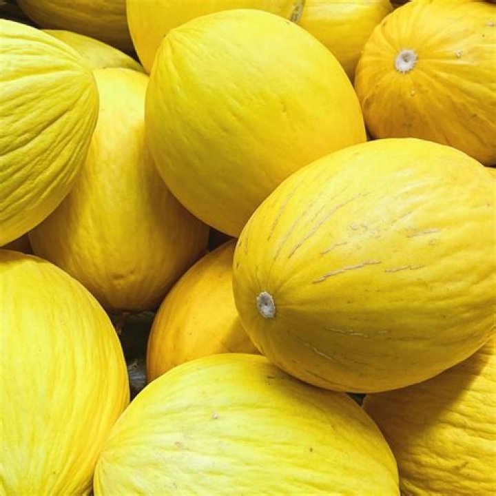 Bright yellow melon