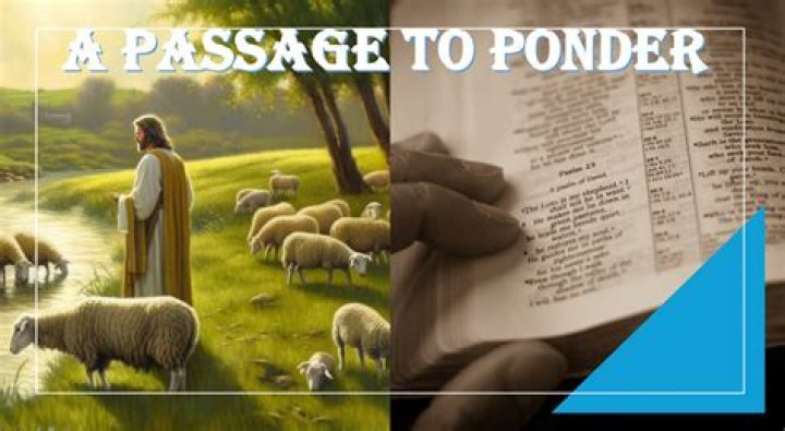 Call from a sheep