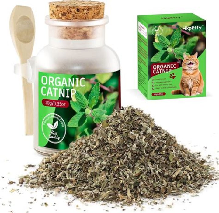 Catnip for one