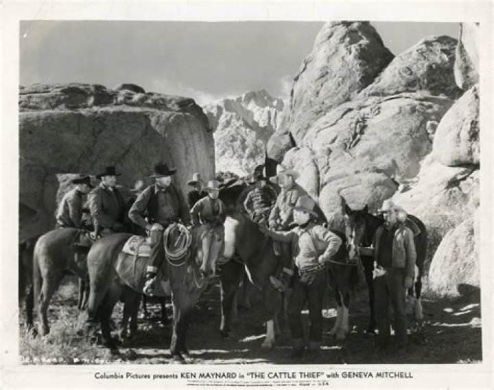 Cattle thief