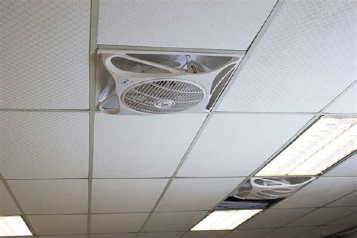 Ceiling ___ (air circulator mounted up high)