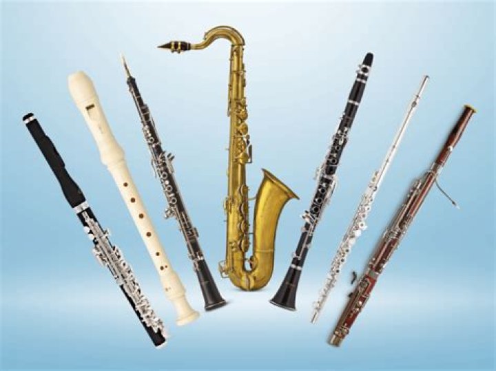 Certain woodwind instruments for short
