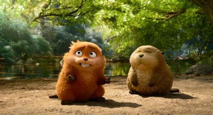 Chew as a beaver would