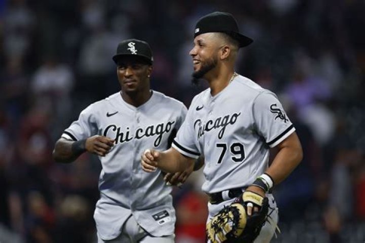 Chicago White ___ (baseball team)