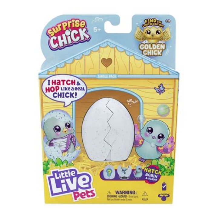 Chick's chirp