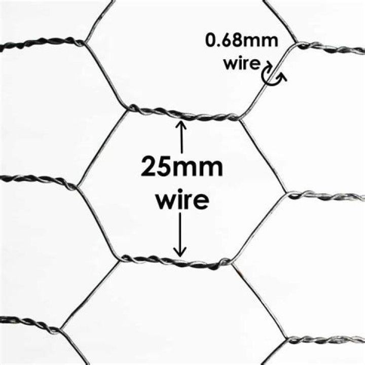 Chicken wire for example