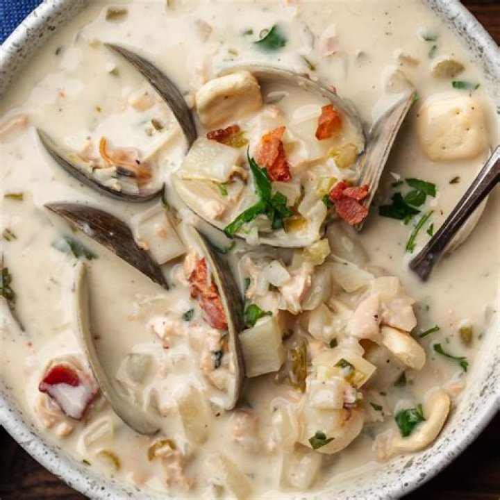Chowder mollusk