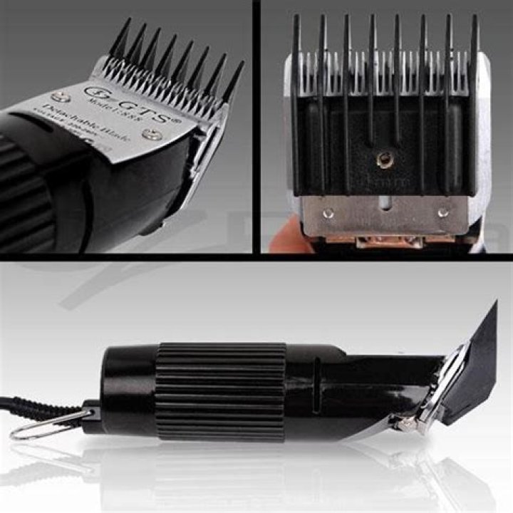 ___ clippers (grooming tool)