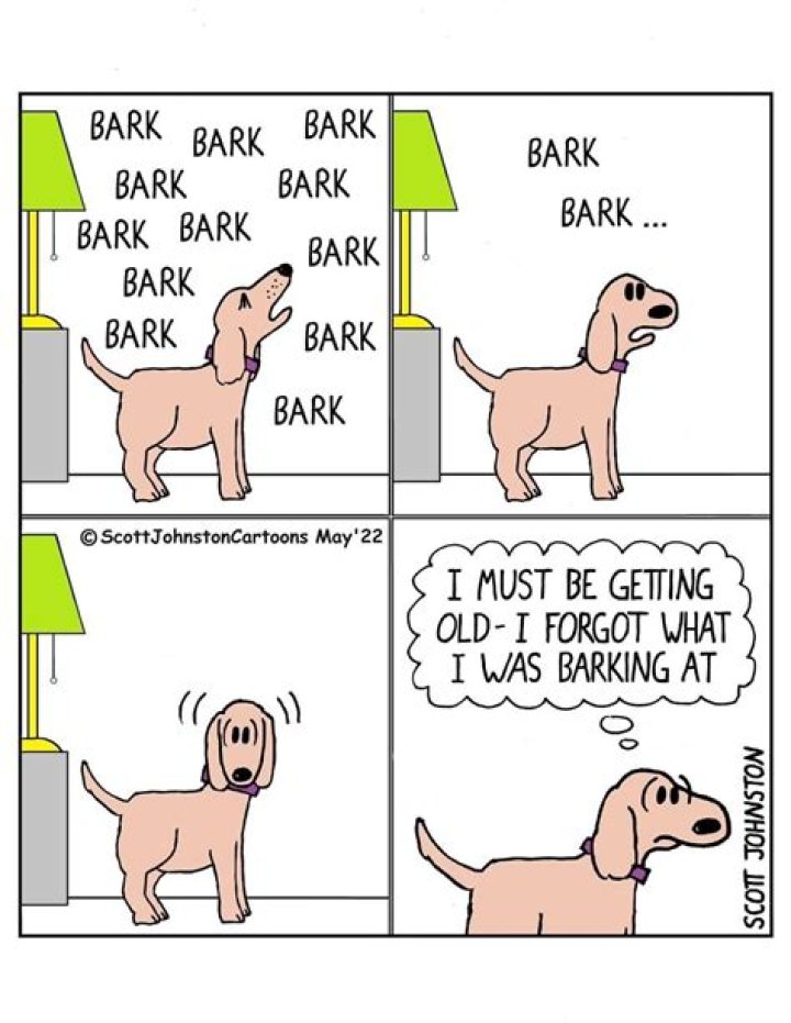 Comic strip bark