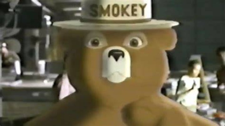 Commercial featuring Smokey Bear for example: Abbr.