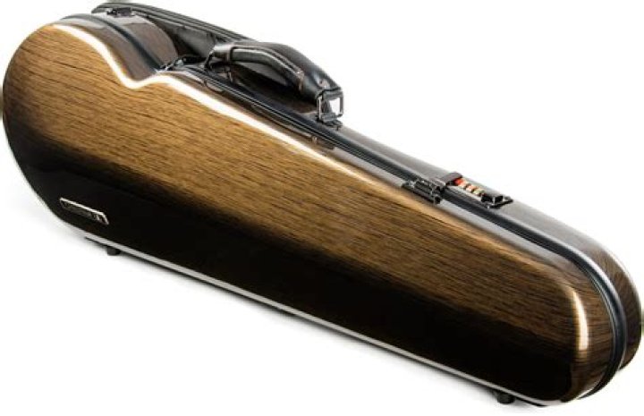 Container for a violin