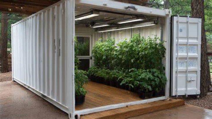 Container in a greenhouse