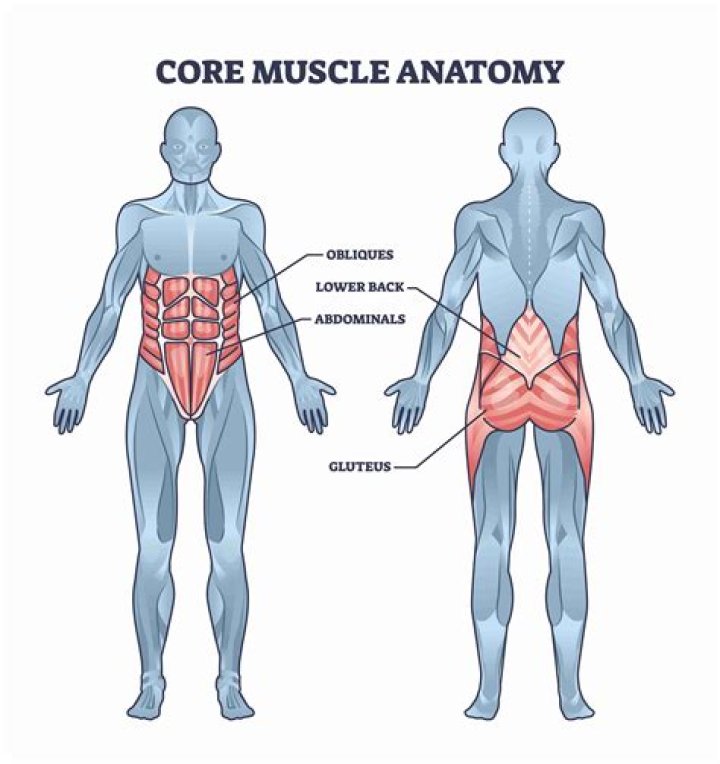 Core muscles