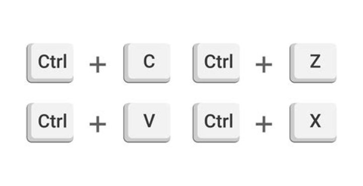 Ctrl-V command on a Windows computer