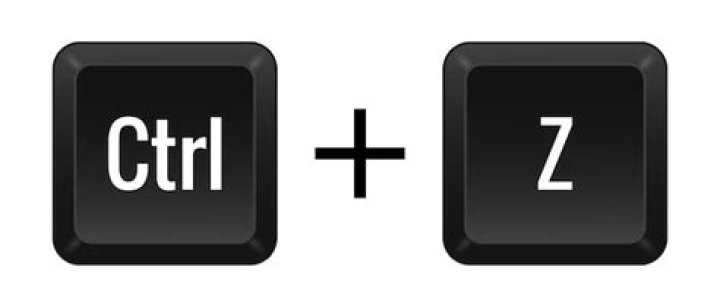 Ctrl-Z command