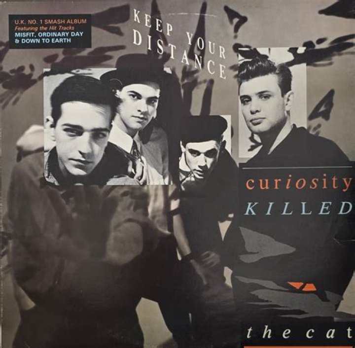 Curiosity killed the ___