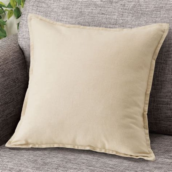 Cushion