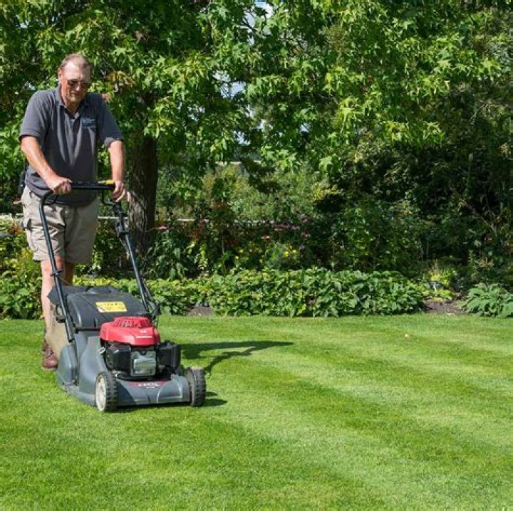 Cut the grass