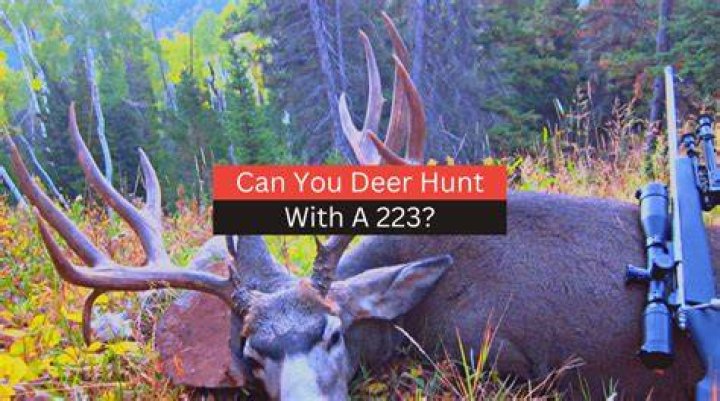 Deer hunter's firearm