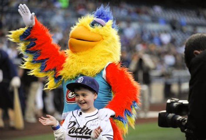 ___ Diego Chicken (baseball mascot)