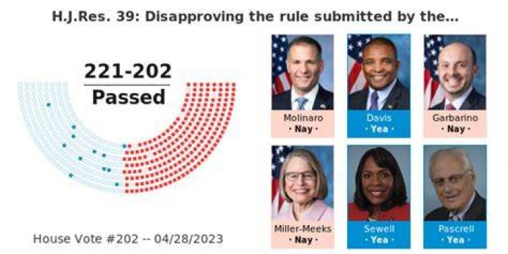 Disapproving vote