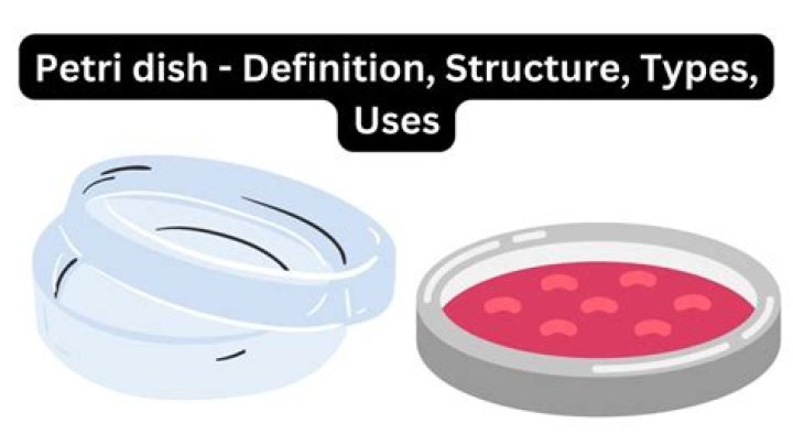 ___ dish (biology class container)