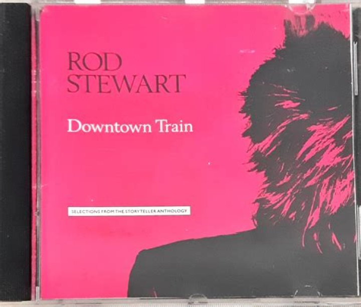 Downtown Train singer Stewart