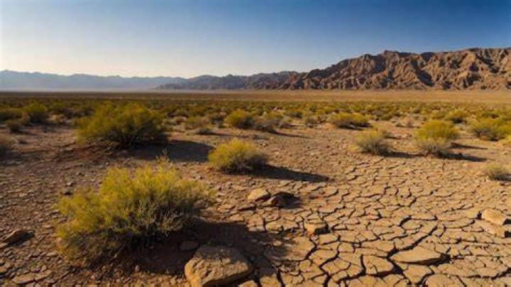 Dry like a desert