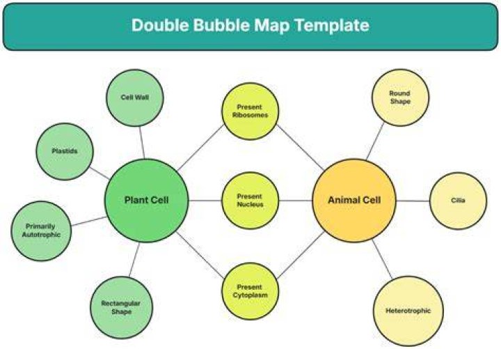 Dubble Bubble or Dentyne for example
