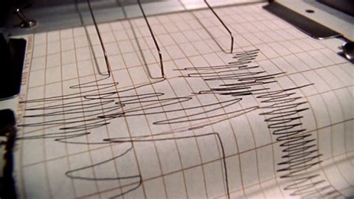 Electronic displays from polygraphs say